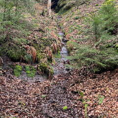 24-02-28 11-31-32 8766